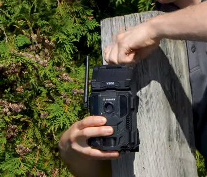 Vosker V200 on tree