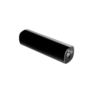 recorder 1